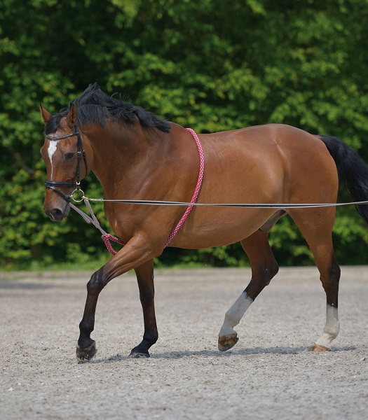 "STRETCHING AID" IN COTONE Chambon e Gogue 